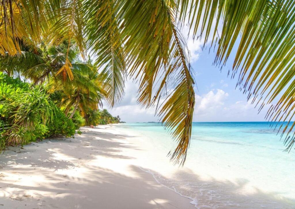 Unwind Dhigurah Hotel Dhigurah  Exterior foto